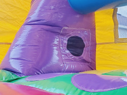 Ferris Wheel 7 in 1 Wet & Dry Bounce House with Double Slide